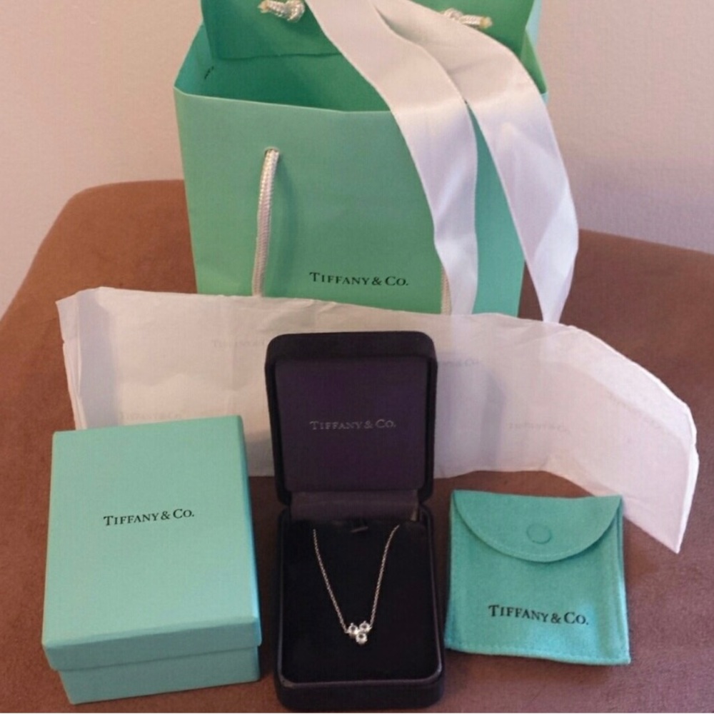 Tiffany & Co Aria Aquamarine necklace / 18K White Gold